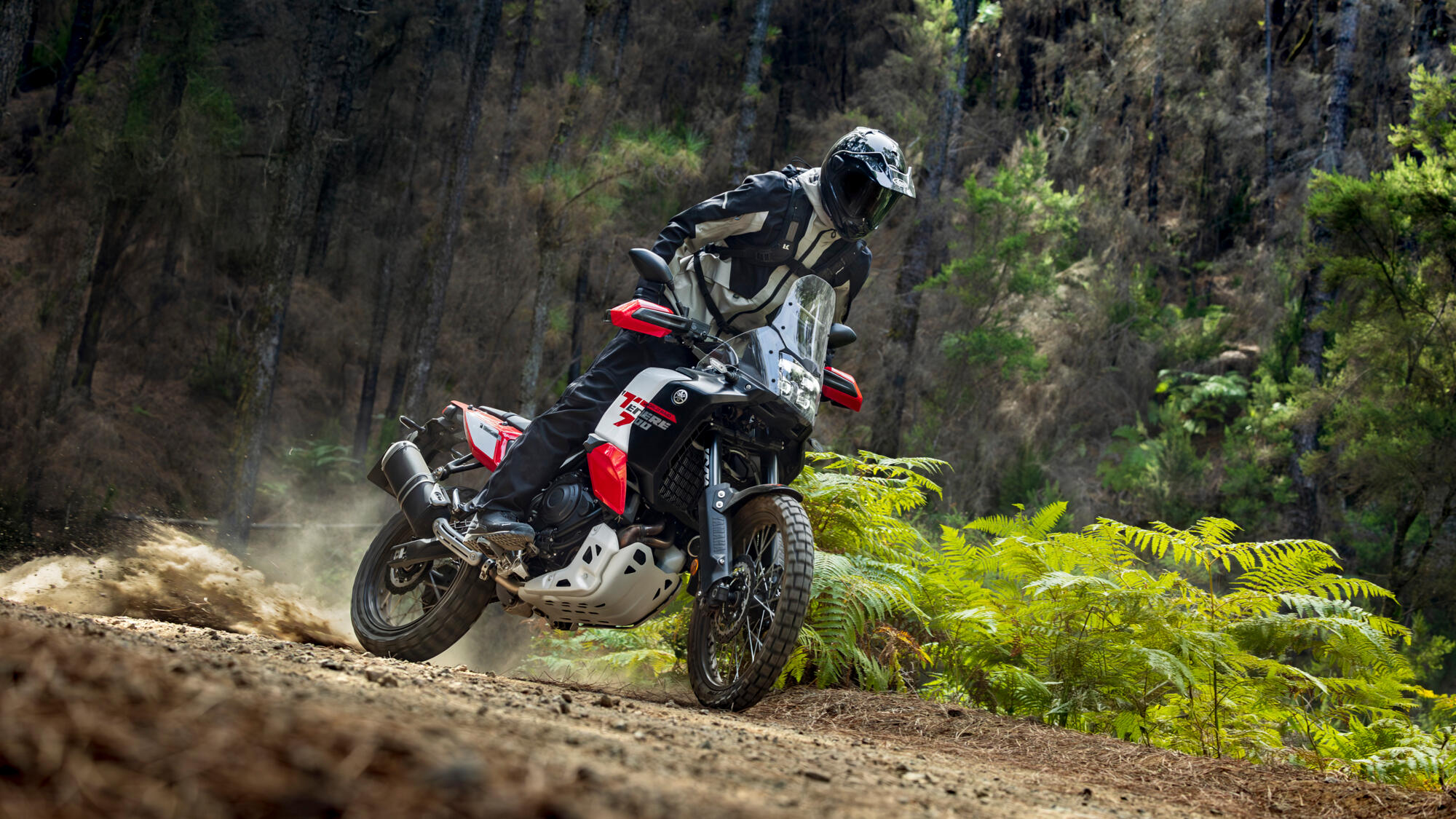 Tenere World Raid 2026
